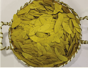 Baby Chips Appalam Papad